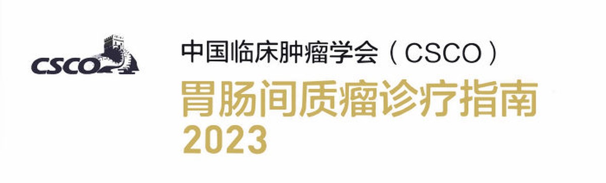2023CSCO胃肠间质瘤诊疗指南pdf下载
