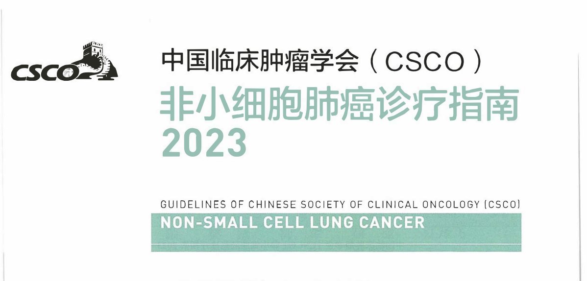 2023CSCO非小细胞肺癌诊疗指南 全文在线观看下载