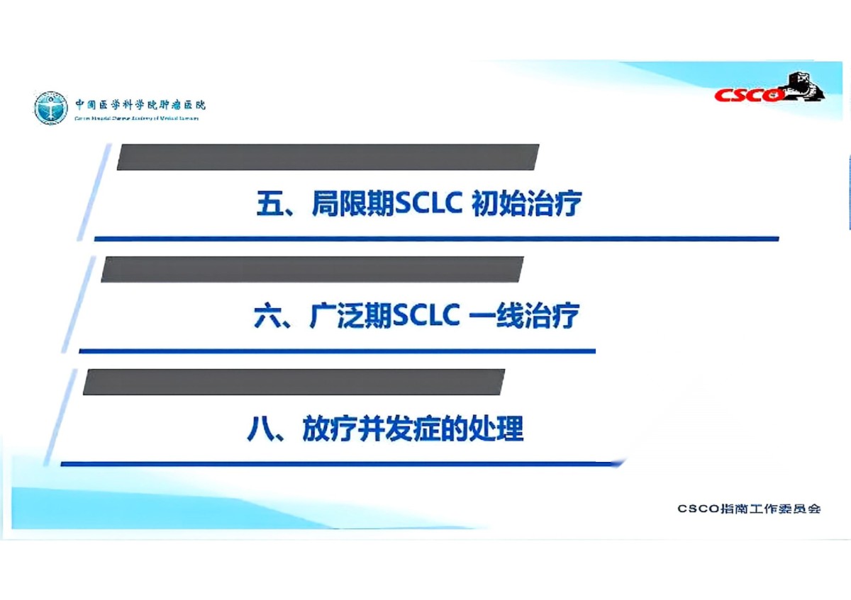 2025年CSCO小细胞肺癌放疗更新指南pdf下载