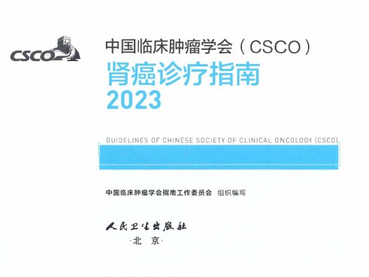 2023年CSCO肾癌诊疗指南 pdf下载