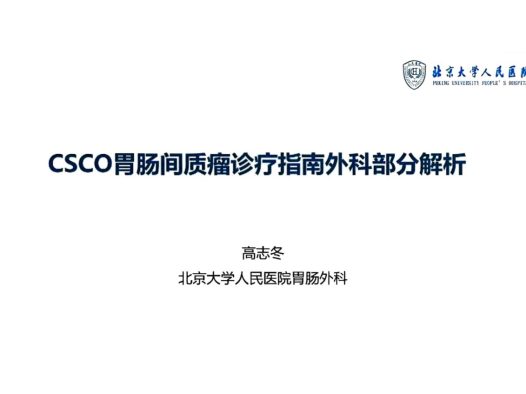 2025年CSCO胃肠间质瘤指南外科解析 pdf下载