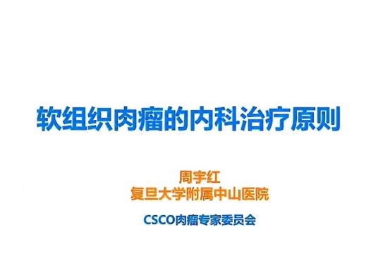 2025年CSCO软组织肉瘤内科治疗原则解读 pdf下载