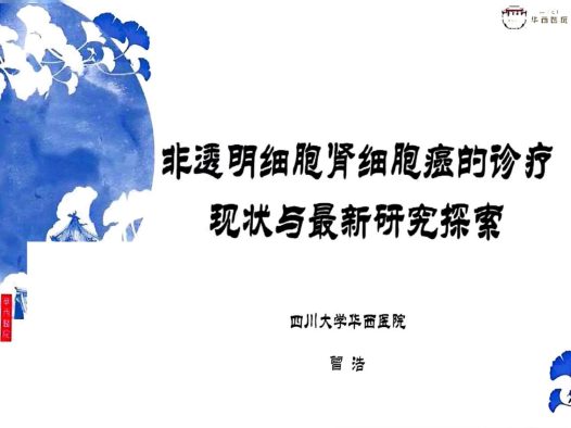 2025CSCO非透明细胞肾细胞癌诊疗研究进展解读 pdf下载