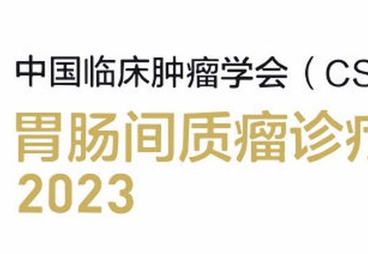 2023CSCO胃肠间质瘤诊疗指南pdf下载