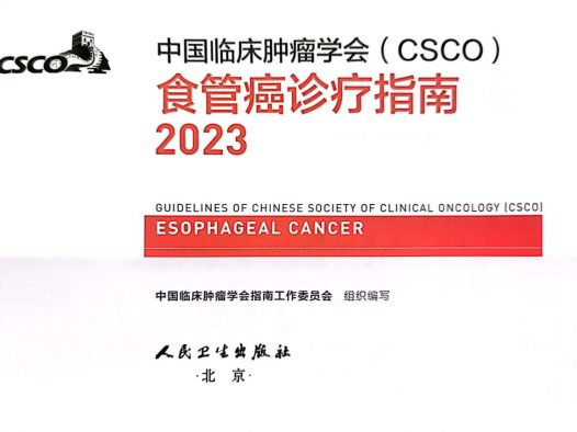 2023年CSCO食管癌诊疗指南更新要点 下载