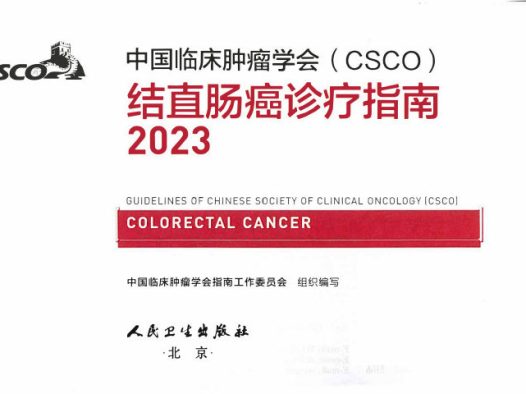 2023年CSCO结直肠癌诊疗指南更新要点解读 pdf下载
