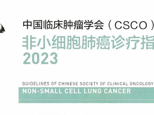 2023CSCO非小细胞肺癌诊疗指南 全文在线观看下载
