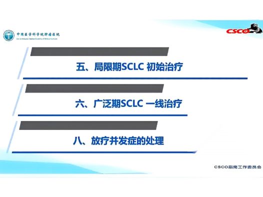 2025年CSCO小细胞肺癌放疗更新指南pdf下载