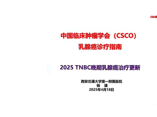 2025年CSCO三阴性乳腺癌晚期治疗更新解读 pdf下载