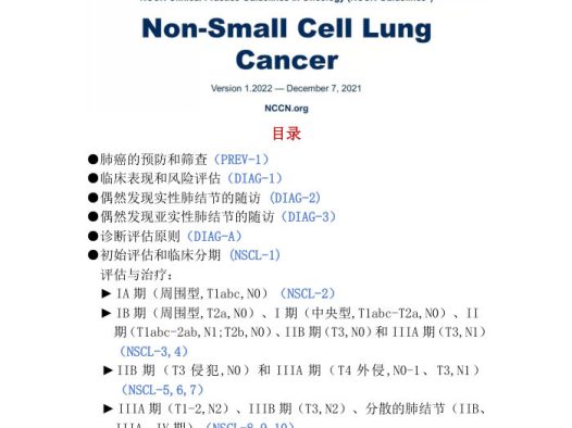 2022年NCCN非小细胞肺癌指南中文版 电子版